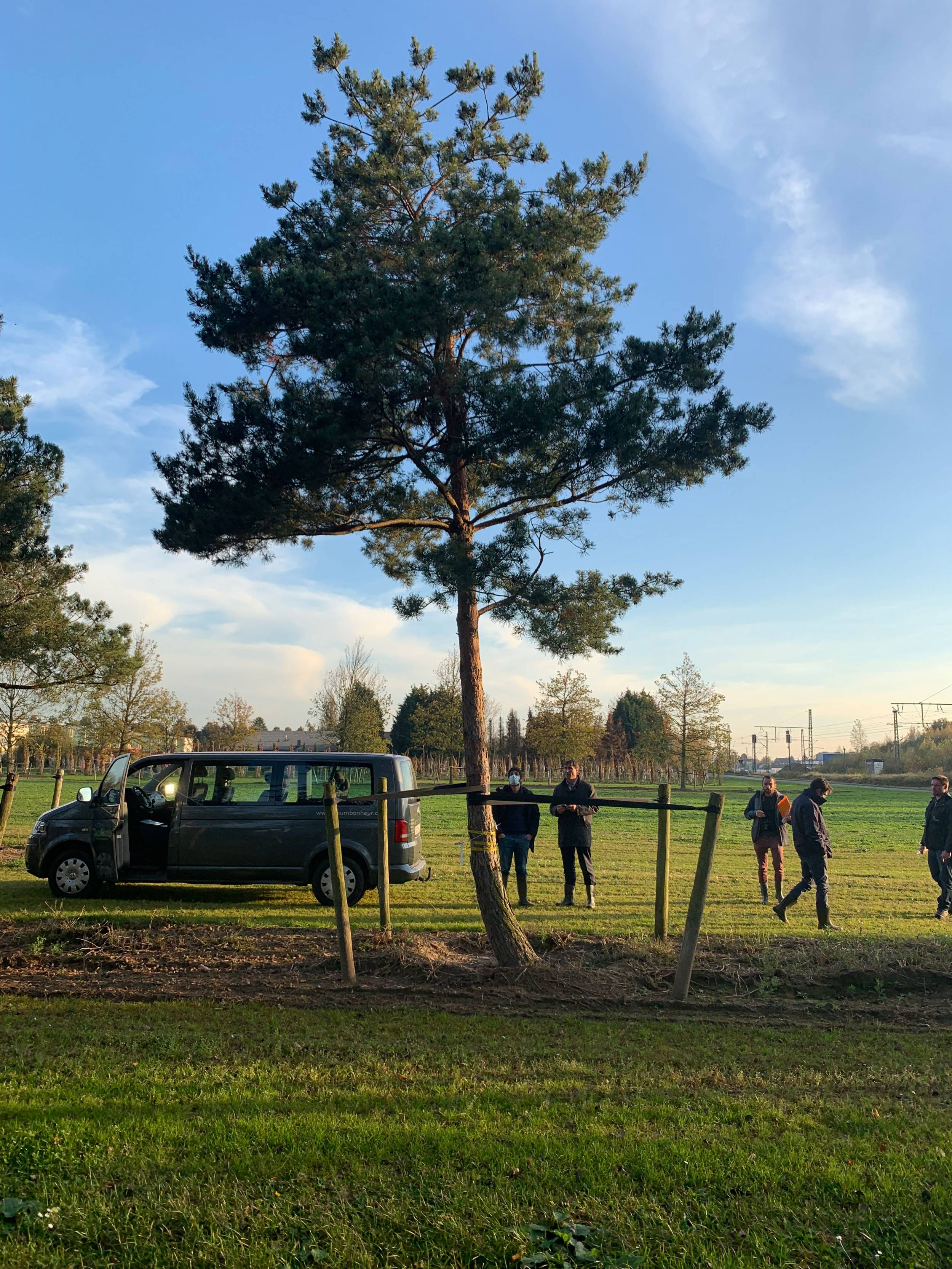 奥运树木种植  未来圣但尼水上中心景观项目丨法国-14