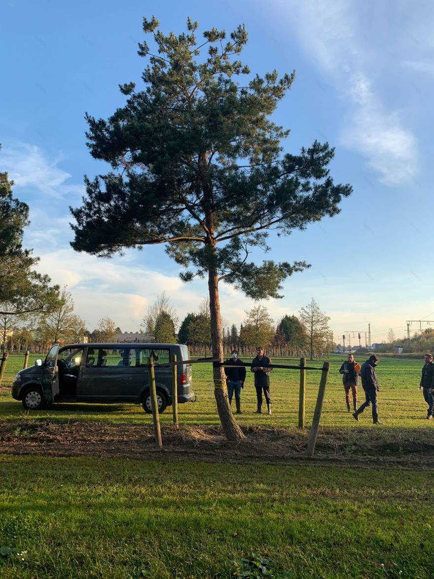 奥运树木种植 未来圣但尼水上中心景观项目丨法国-14