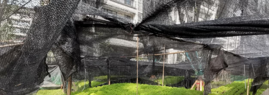 万科·金开悦府锦悦 | 生活“园”来如此-120