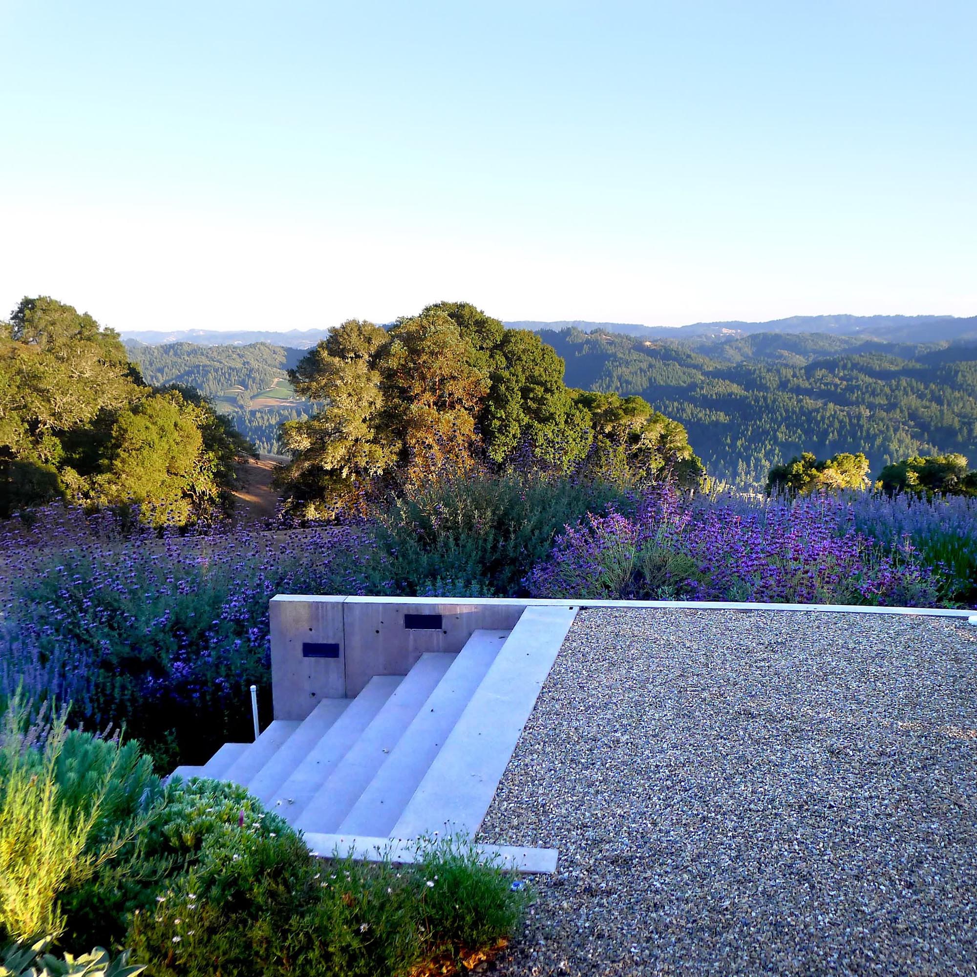 加拿大约克维尔私人住宅-5