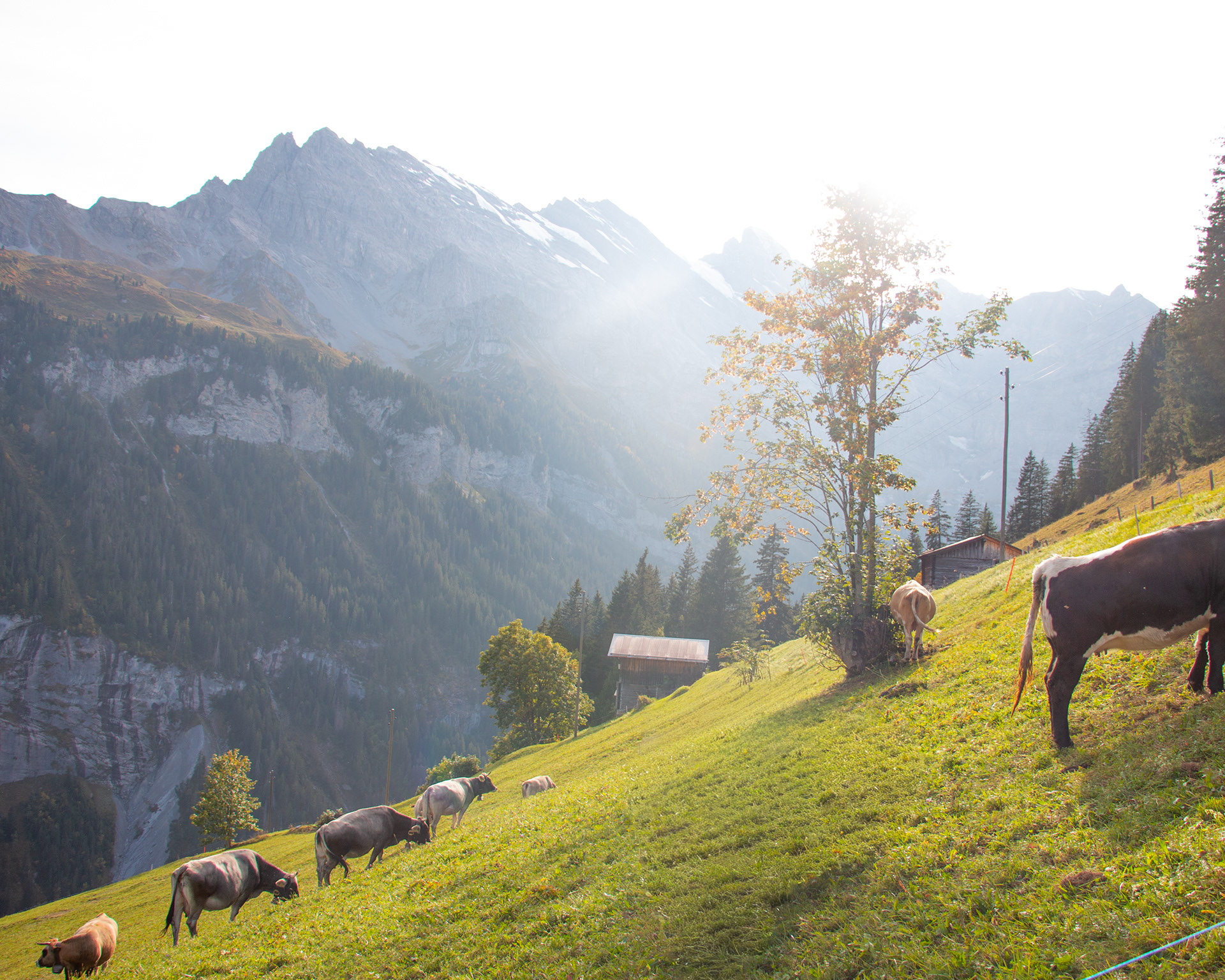 Iconic Switzerland-5