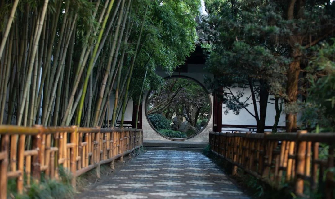 打卡留园，这样拍秒出大片！-42