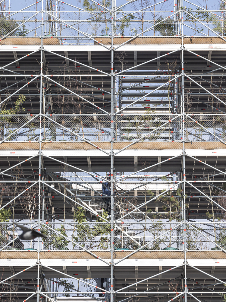 罗马尼亚蒂米什瓦拉垂直绿化奇迹-10