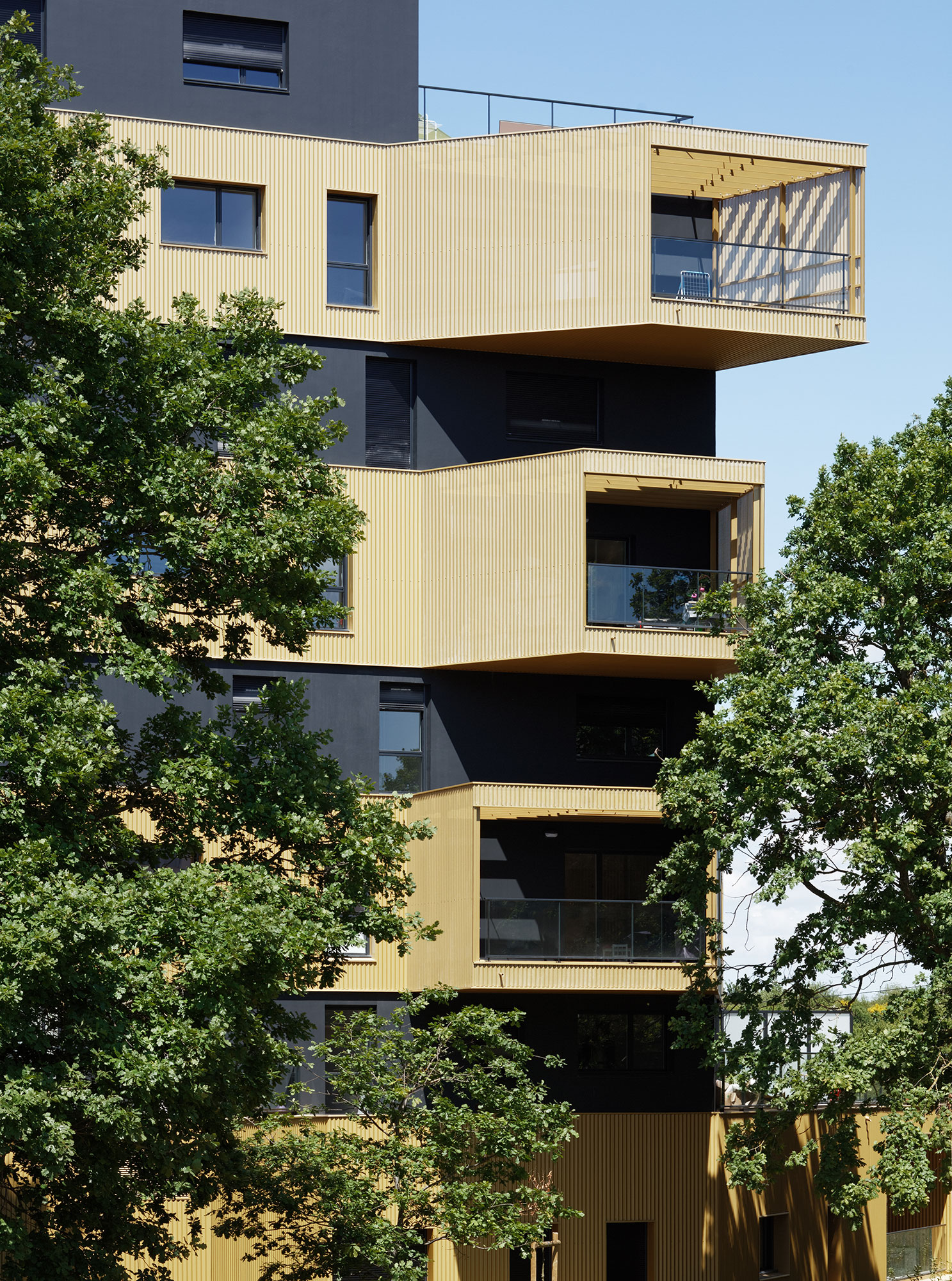 LEquatoriaLogements 公寓建筑——黄金立面与树共生的立体社区-22