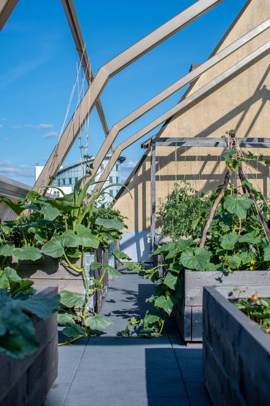 德国 Nürnberg 城市植物房丨büro für bauform-15