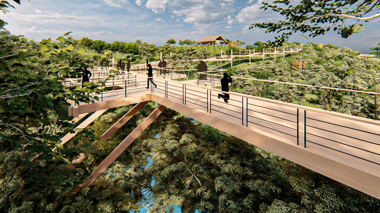 城市菜园丨哥斯达黎加圣何塞-14