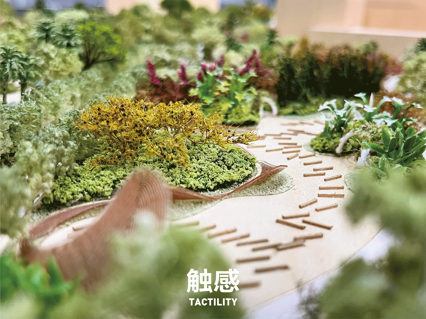 南繁时针,灵感之尺  三亚崖州湾科技城中央公园方案设计国际竞赛丨中国三亚丨MLA+亩加建筑规划（深圳）有限公司等三家公司-13