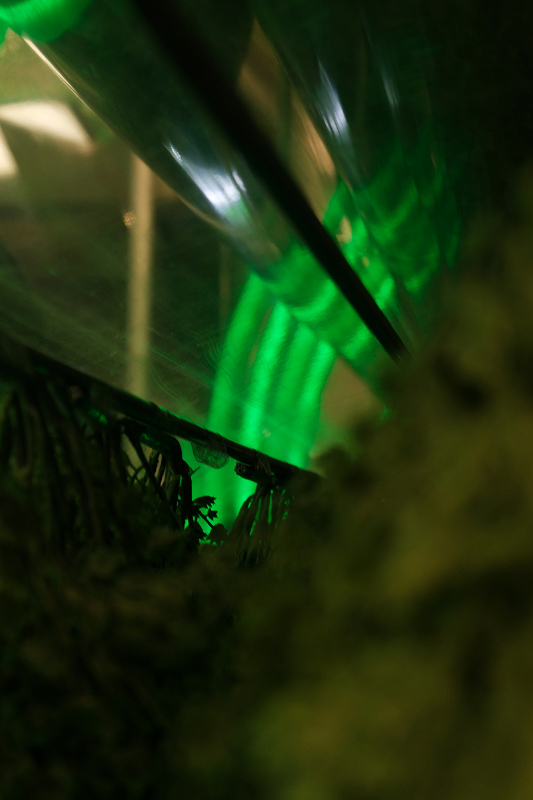 PEACEBIRD MAN YOHOOD 2018_files Sò Studio-4