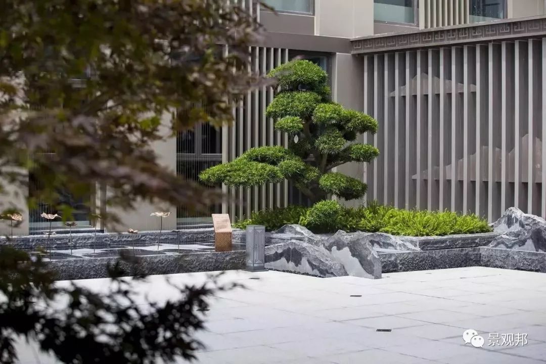 景观中的“松石配”-35