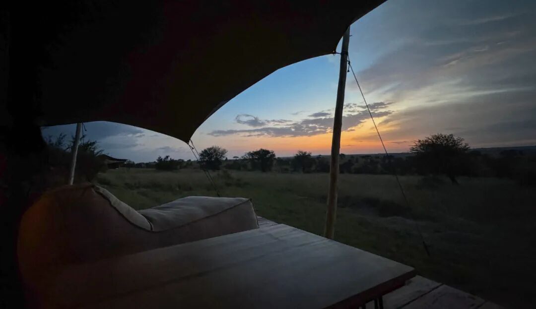 非洲考察2|坦桑酒店探访-194