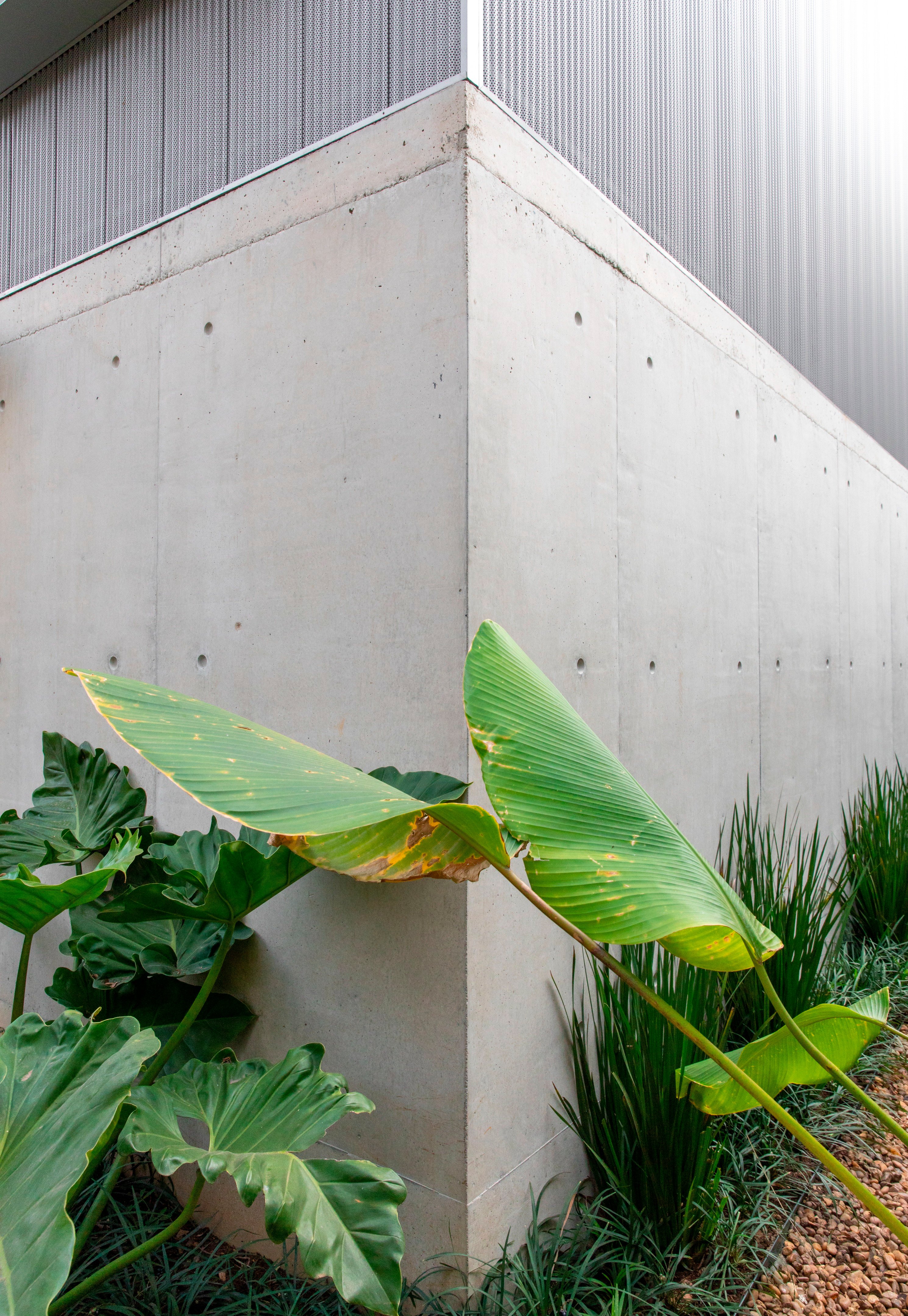 Casa B 住宅丨巴西圣保罗丨Acayaba + Rosenberg arquitetos-14