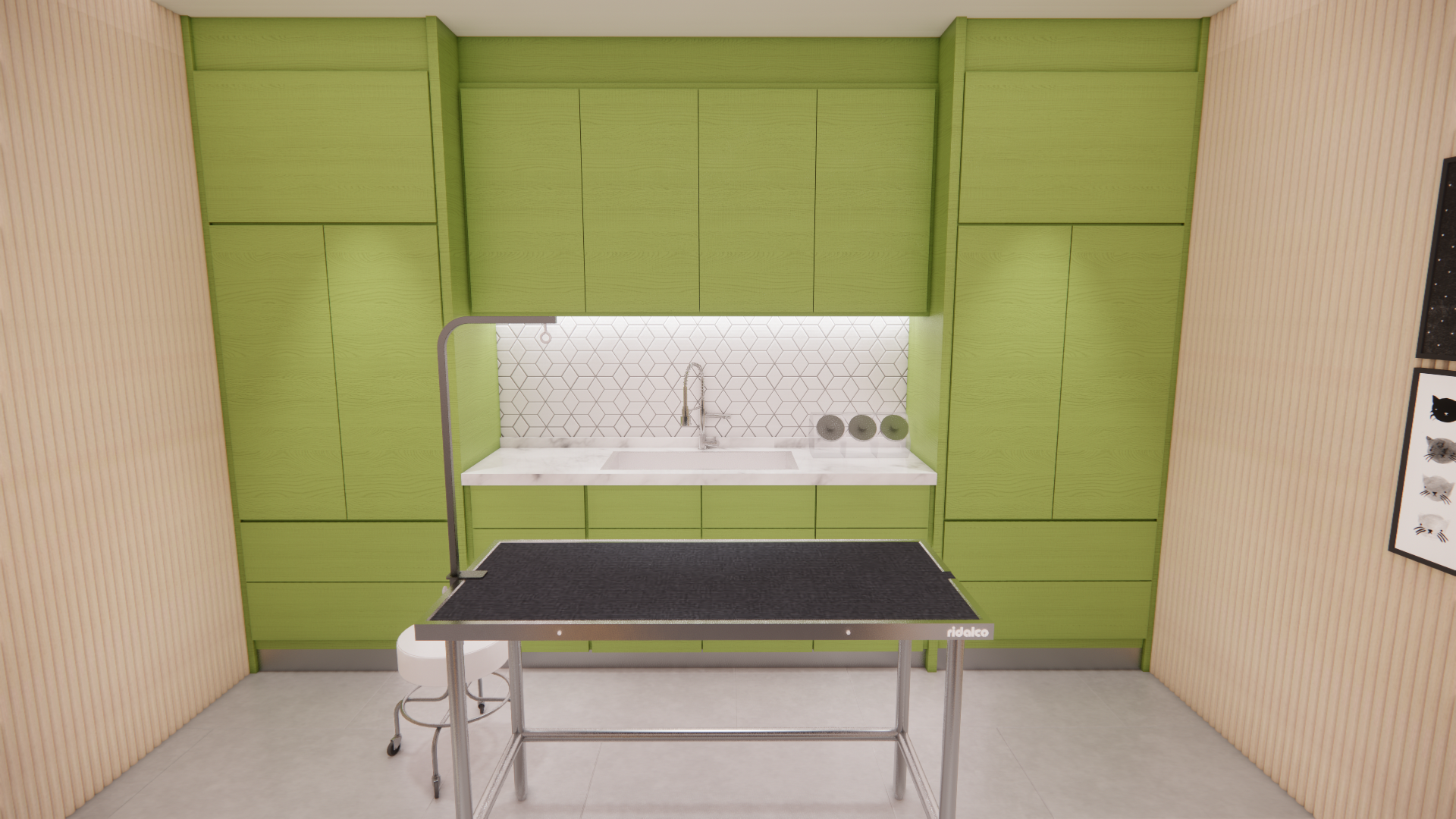 Veterinary & Animal Shelter Project Proposal-13