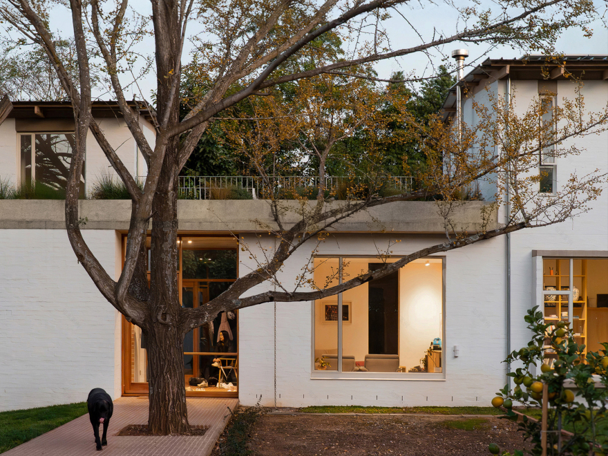 丨南非丨MiMo Architects-26