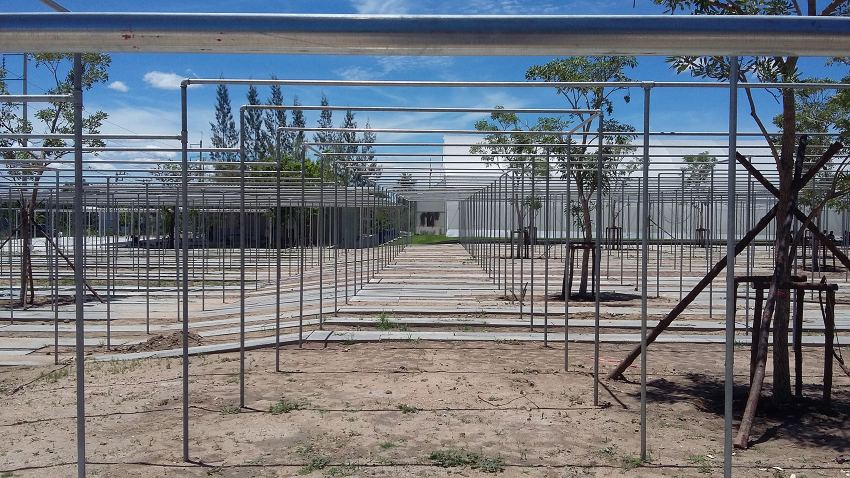 都市农场，泰国 / Integrated Field Co.,Ltd.-86