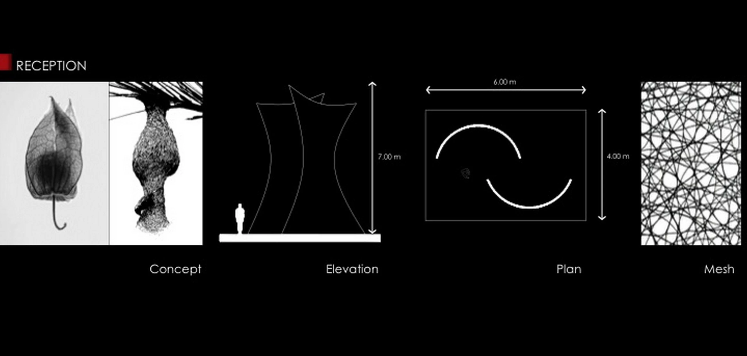 墨西哥图伦生态酒店-26