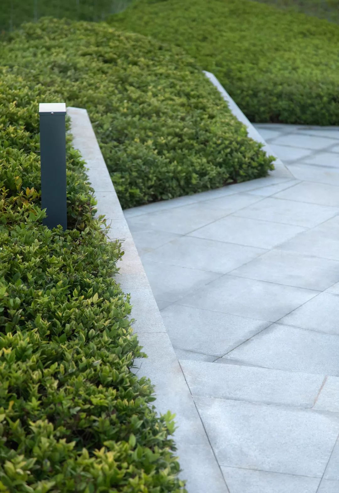 时光里的集市 | 绿地安义国际花都-86