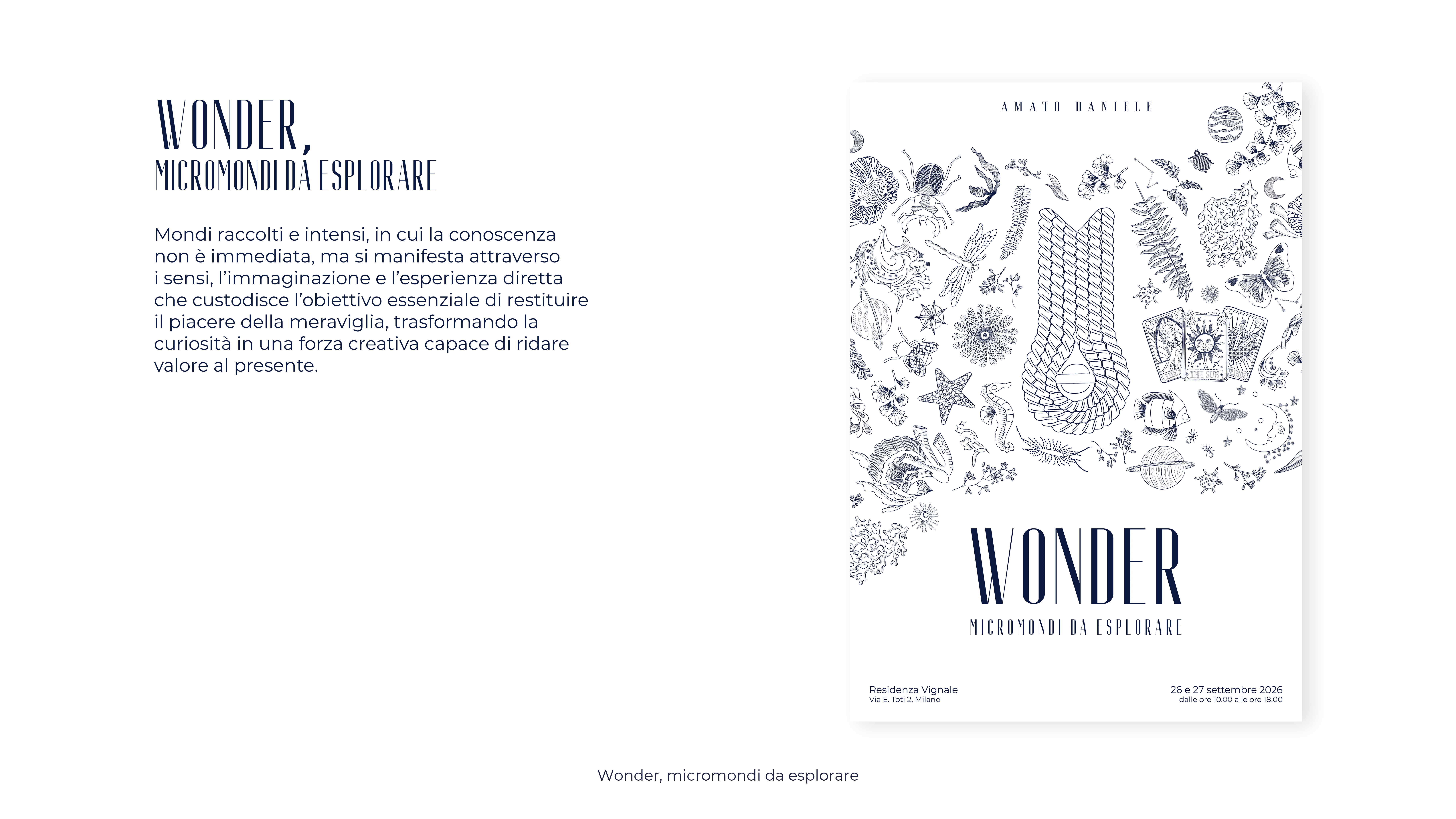 Wonder, Micromondi da esplorare-4