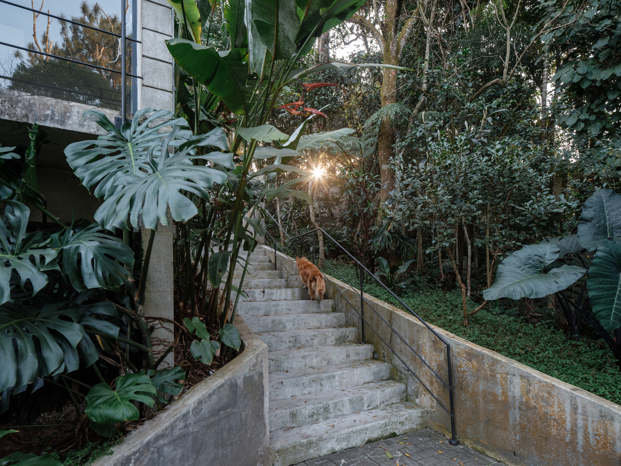 丨巴西丨Terra e Tuma Arquitetos Associados-26