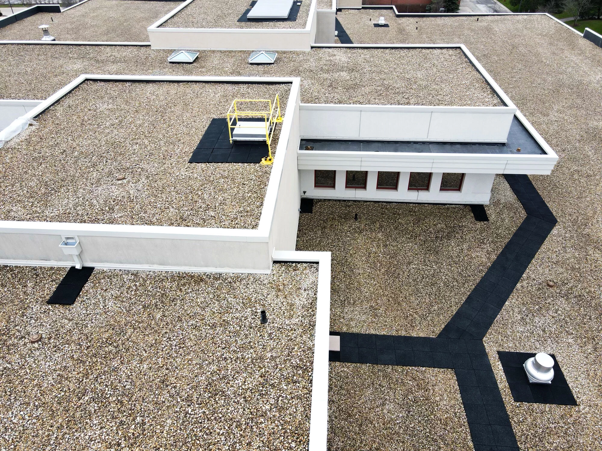 绍姆堡图书馆丨美国-9