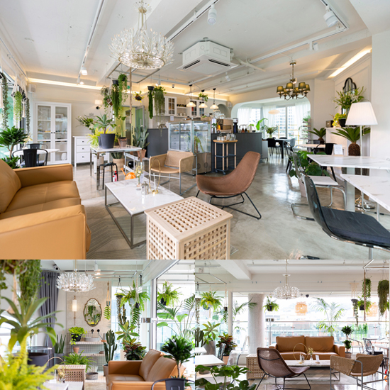 25 平米植物工作室，自然风格与咖啡香的完美融合-1