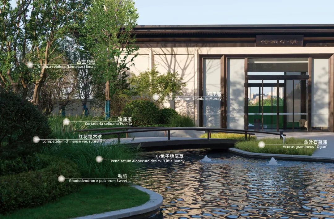 重新组合自然美 · 植物设计浅谈丨中国南京-18