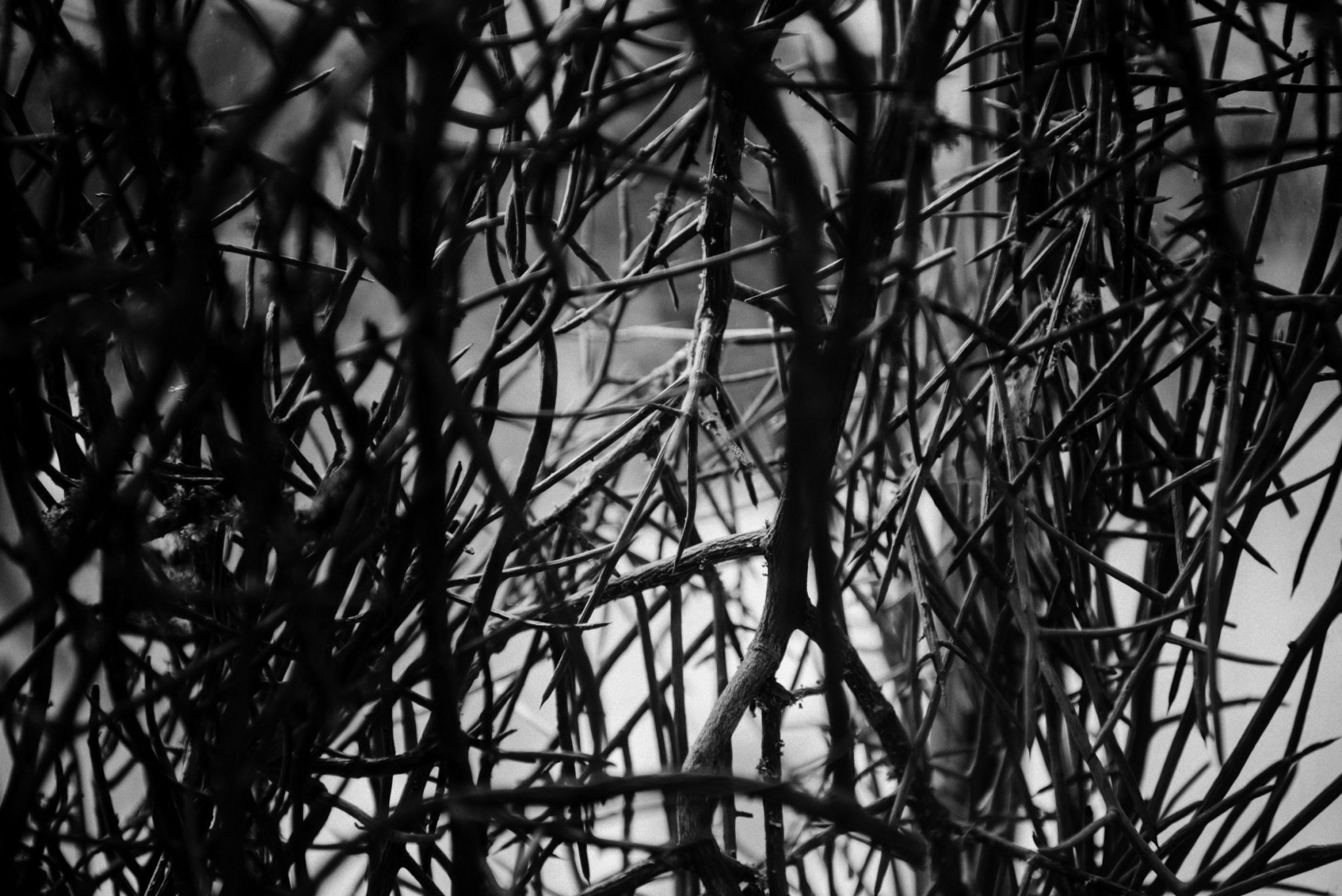 TZUCO®餐厅丨美国芝加哥-57