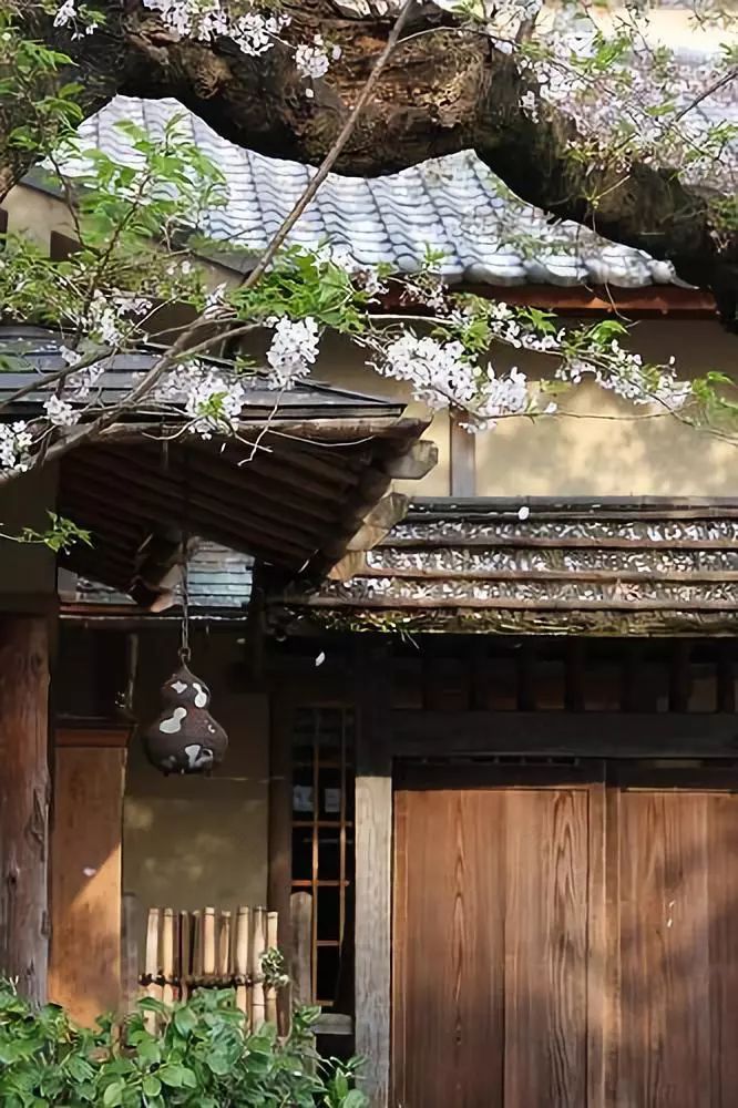 缘侧空间的禅意美学——黑川纪章与芦原义信的设计思想-21