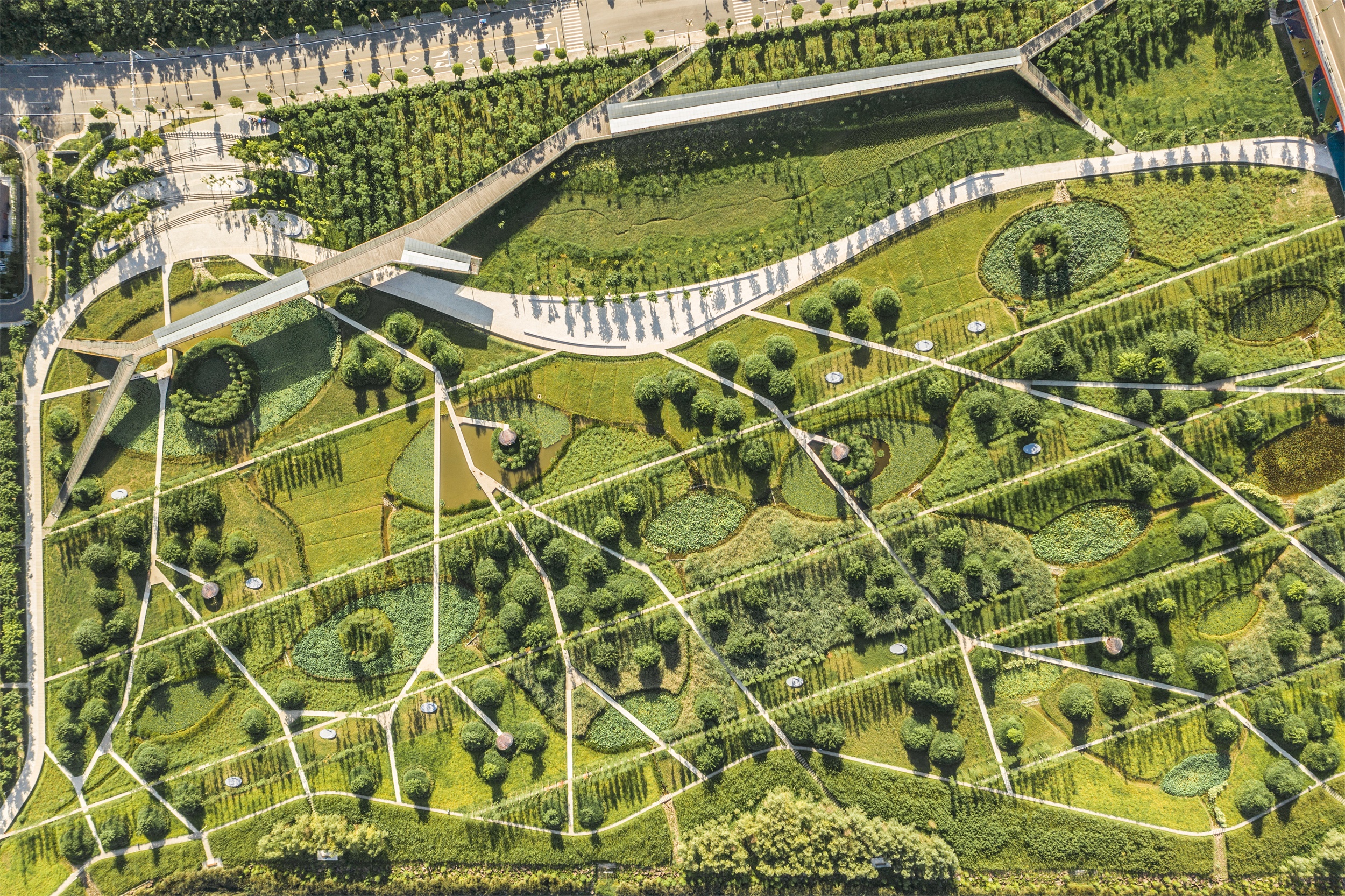 西安雁南公园（二期）丨中国西安丨土人设计（Turenscape）-147