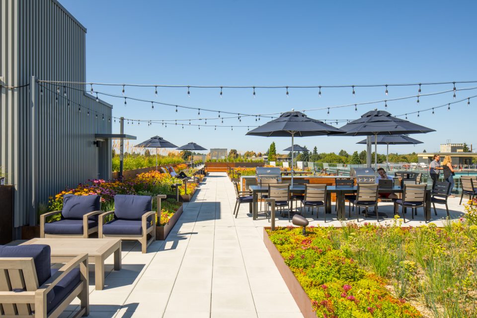 丨United StatesPortland丨Shapiro Didway-15