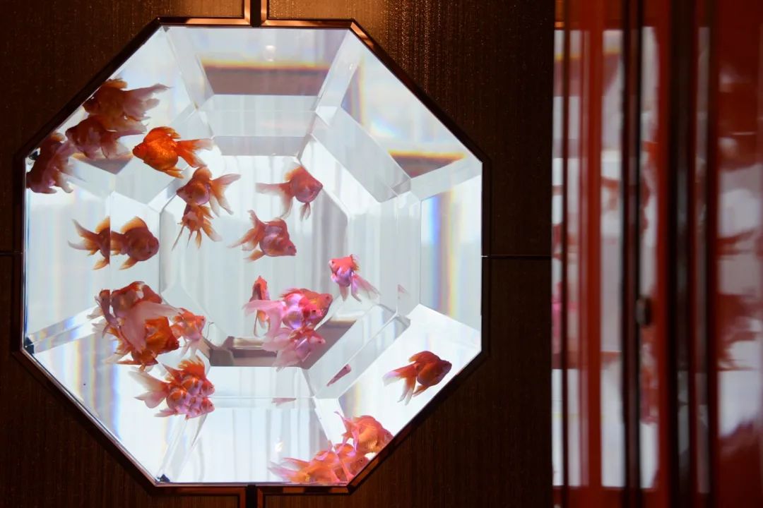 澳门美狮美高梅酒店顶层御狮别墅丨中国澳门丨Kohn Pedersen Fox（KPF）-77