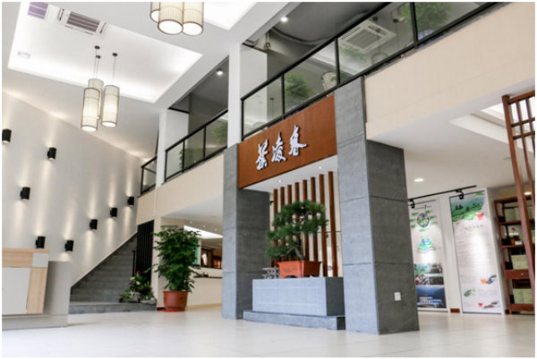 叶凌春茶体验店-11