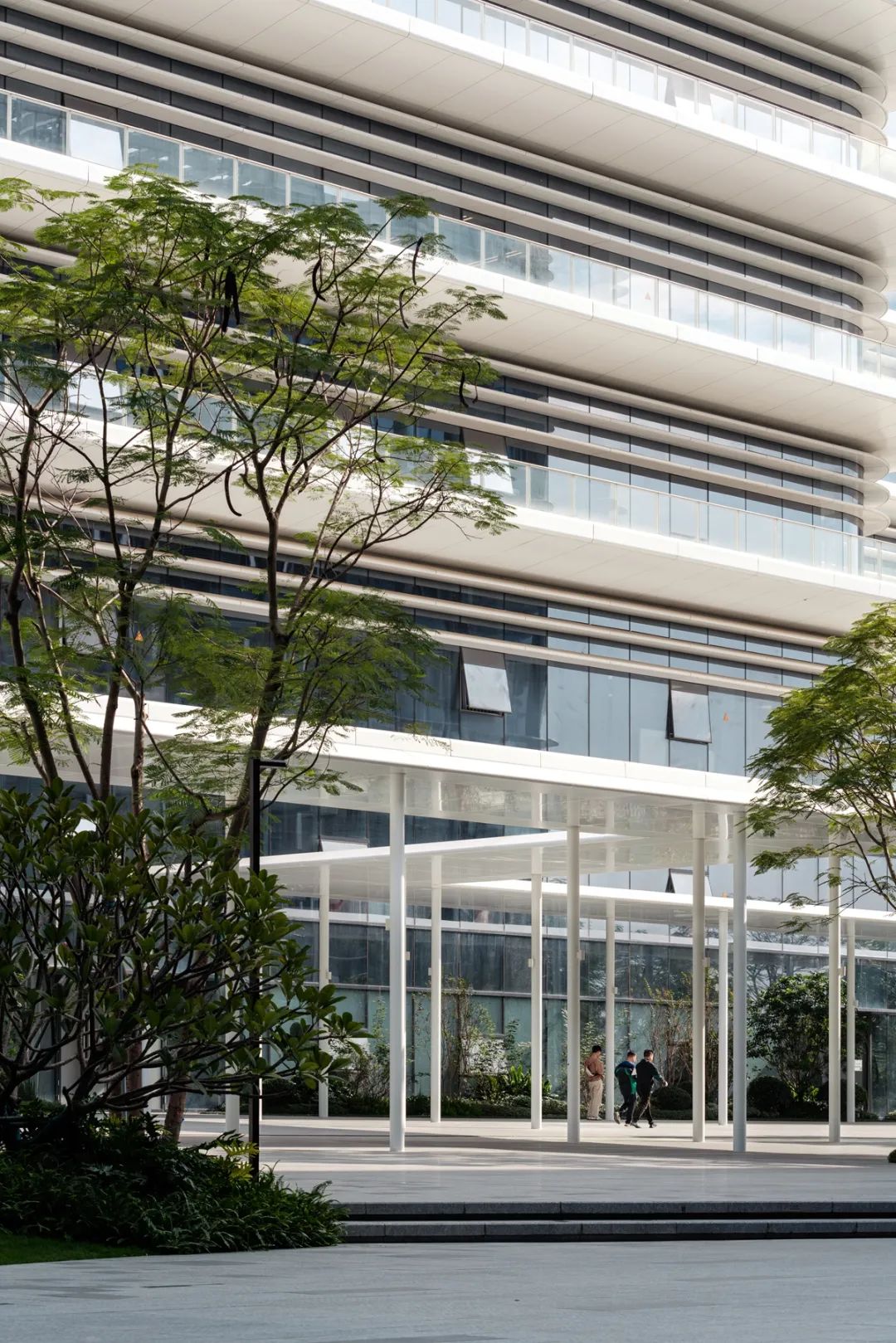 OPPO 智能制造中心项目 B 地块一期北区厂房园林景观分包工程丨萨尔瓦多滨海丨广州普邦园林股份有限公司-31