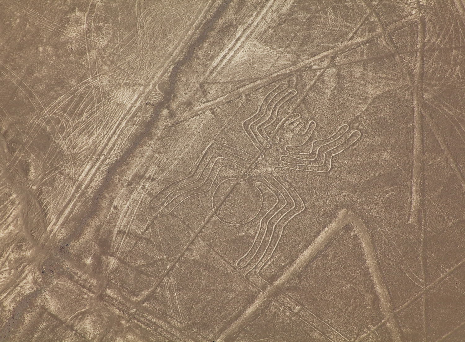 )Hotel Paracas, Paracas, Ica, Peru-32