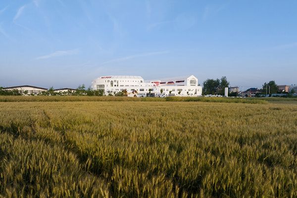 舒城  活力幼儿园丨中国安徽丨迪卡建筑设计中心-14