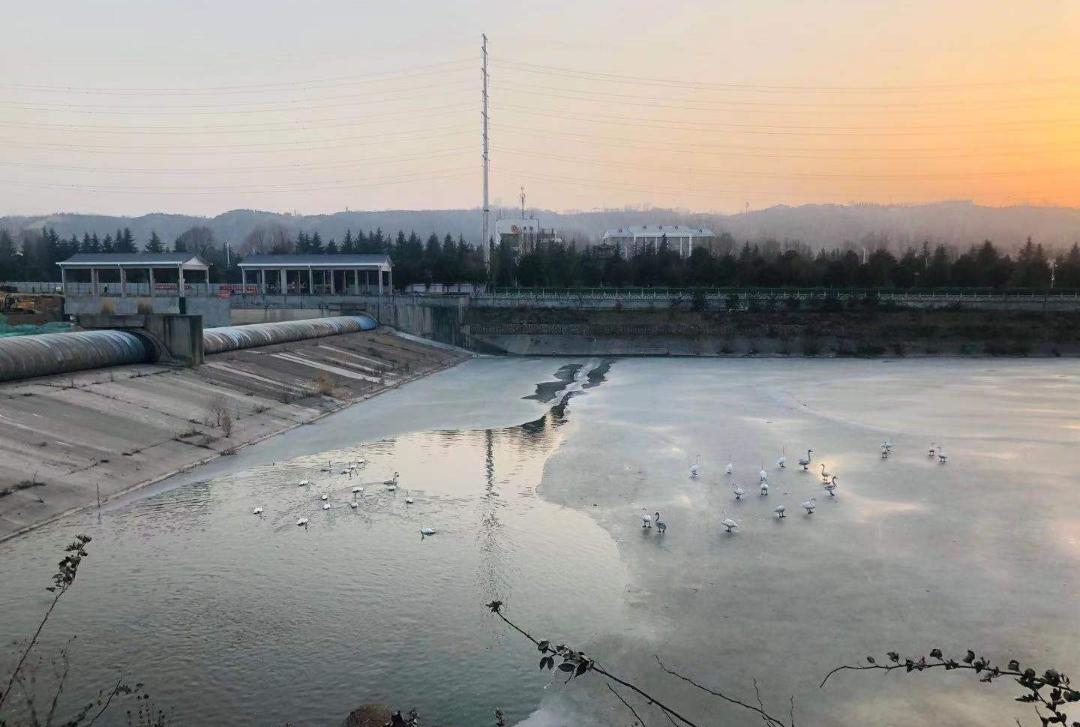 黄河岸上质朴的家丨中国三门峡丨重庆某设计工作室-19