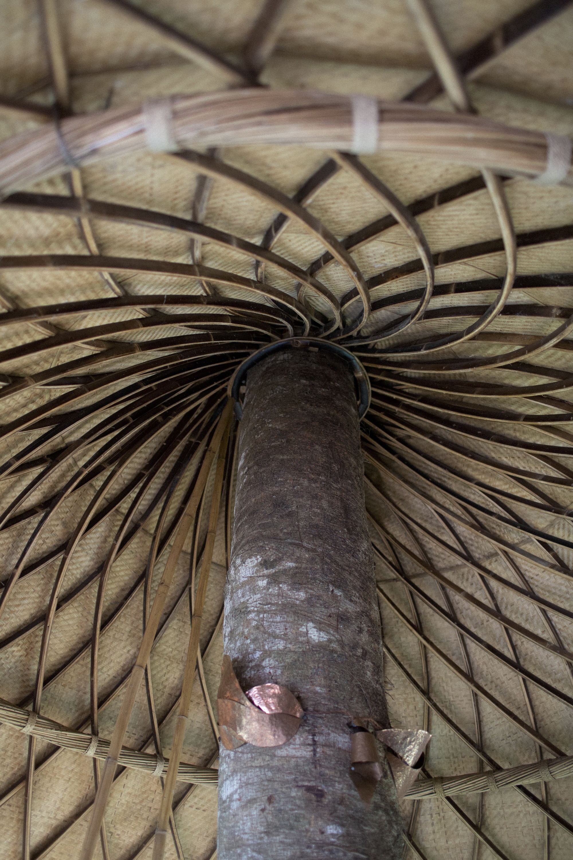 班布英达的树屋丨印度丨IBUKU-26