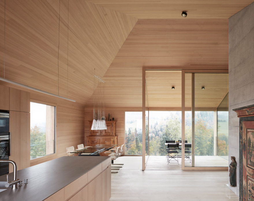 Bernardo Bader references traditional Alpine architecture in larch home for art collector-12