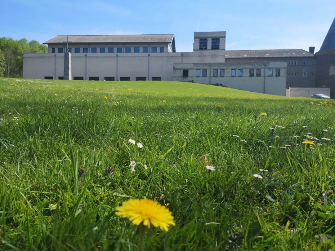 见筑l经典、传统、革新：“老中青”三代教堂大PK-46