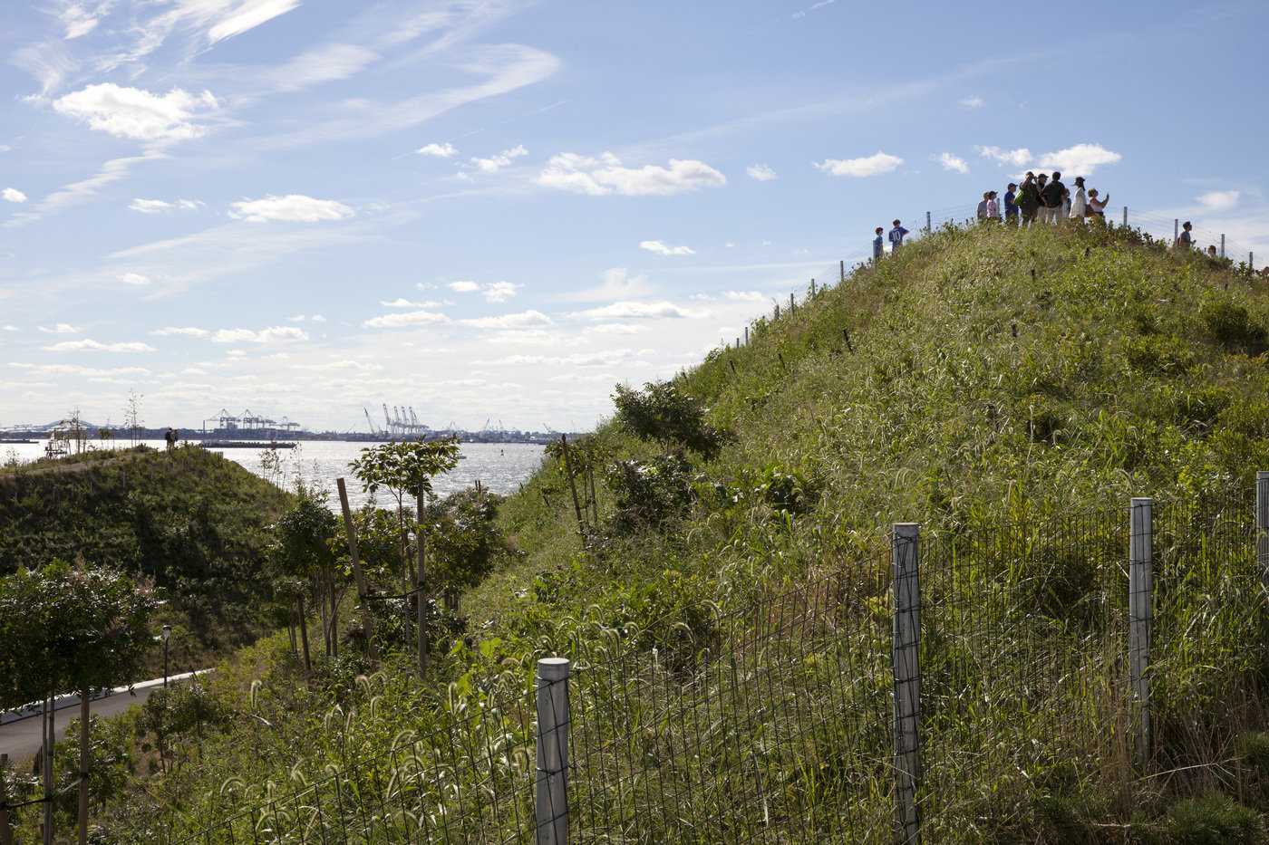 总督岛公园和公共空间总体规划丨美国纽约丨MNLA-10