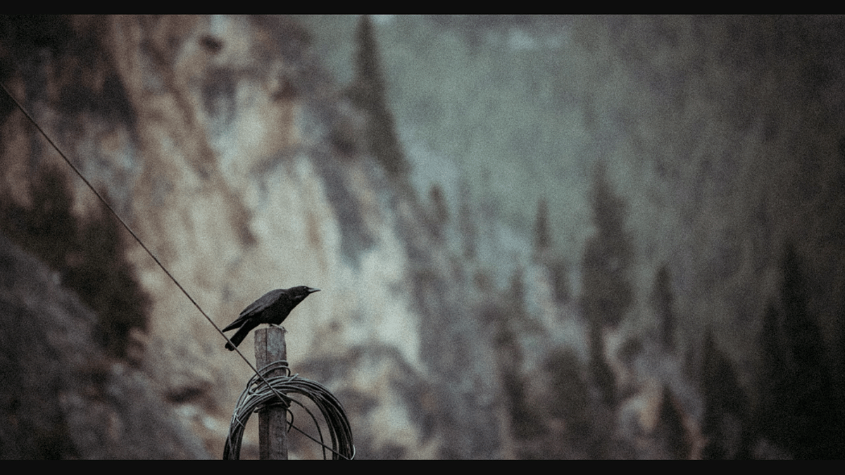 秘境·像素甘南丨中国甘肃丨Blackstation-19