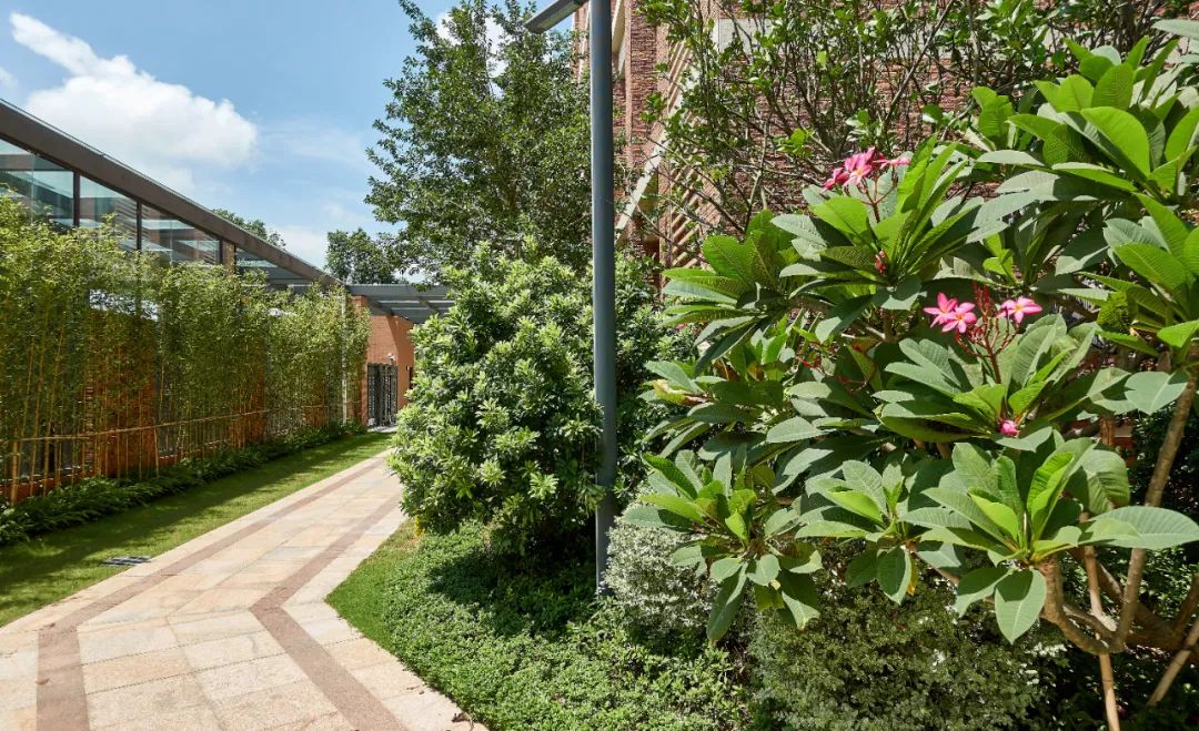 珠海容闳学校 | 生态文化书院的绿色教育空间-58
