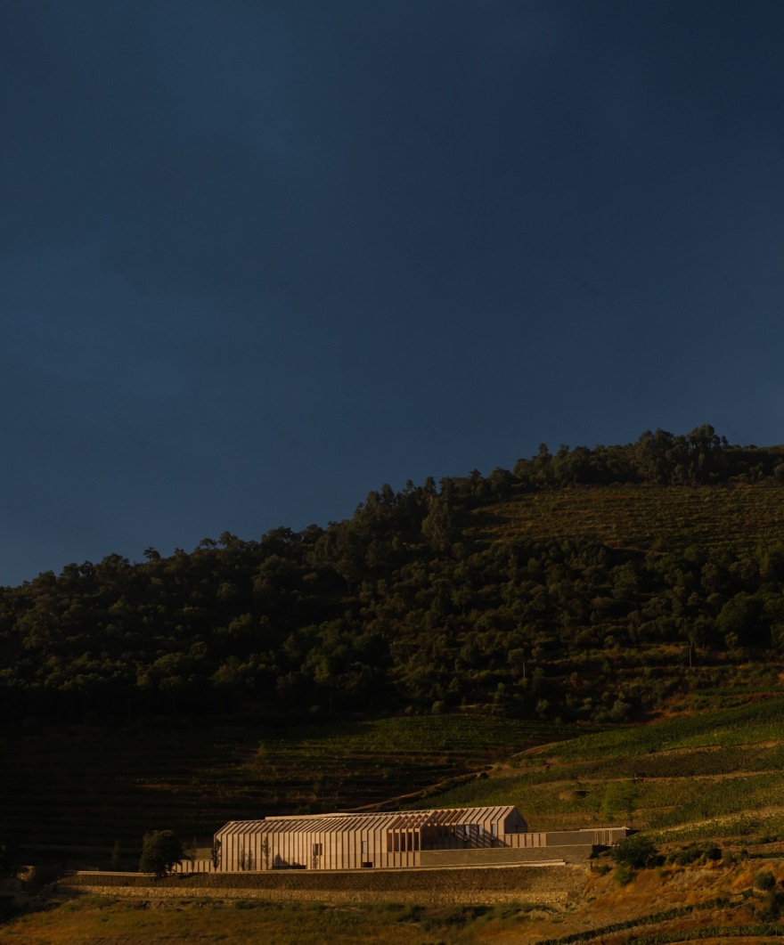 Quinta de Adorigo酒庄丨葡萄牙杜罗丨Atelier Sergio Rebelo等多家团队及个人-162
