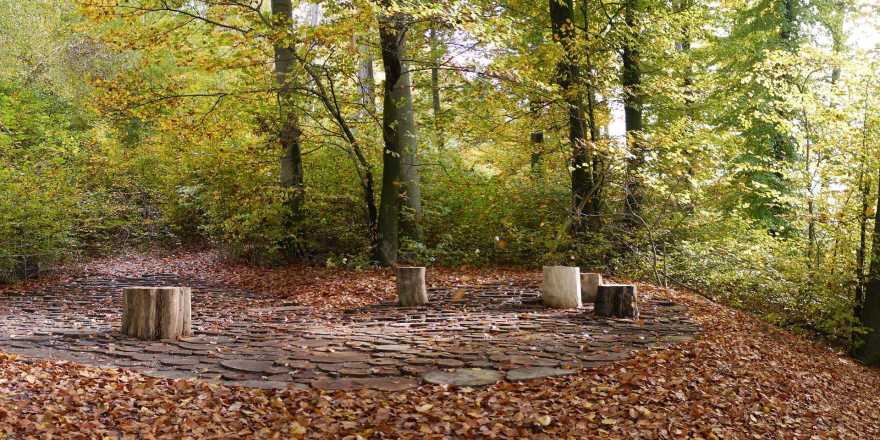 乌斯特市 Wildwood 自然林地广场 | 景观与功能的完美融合-3