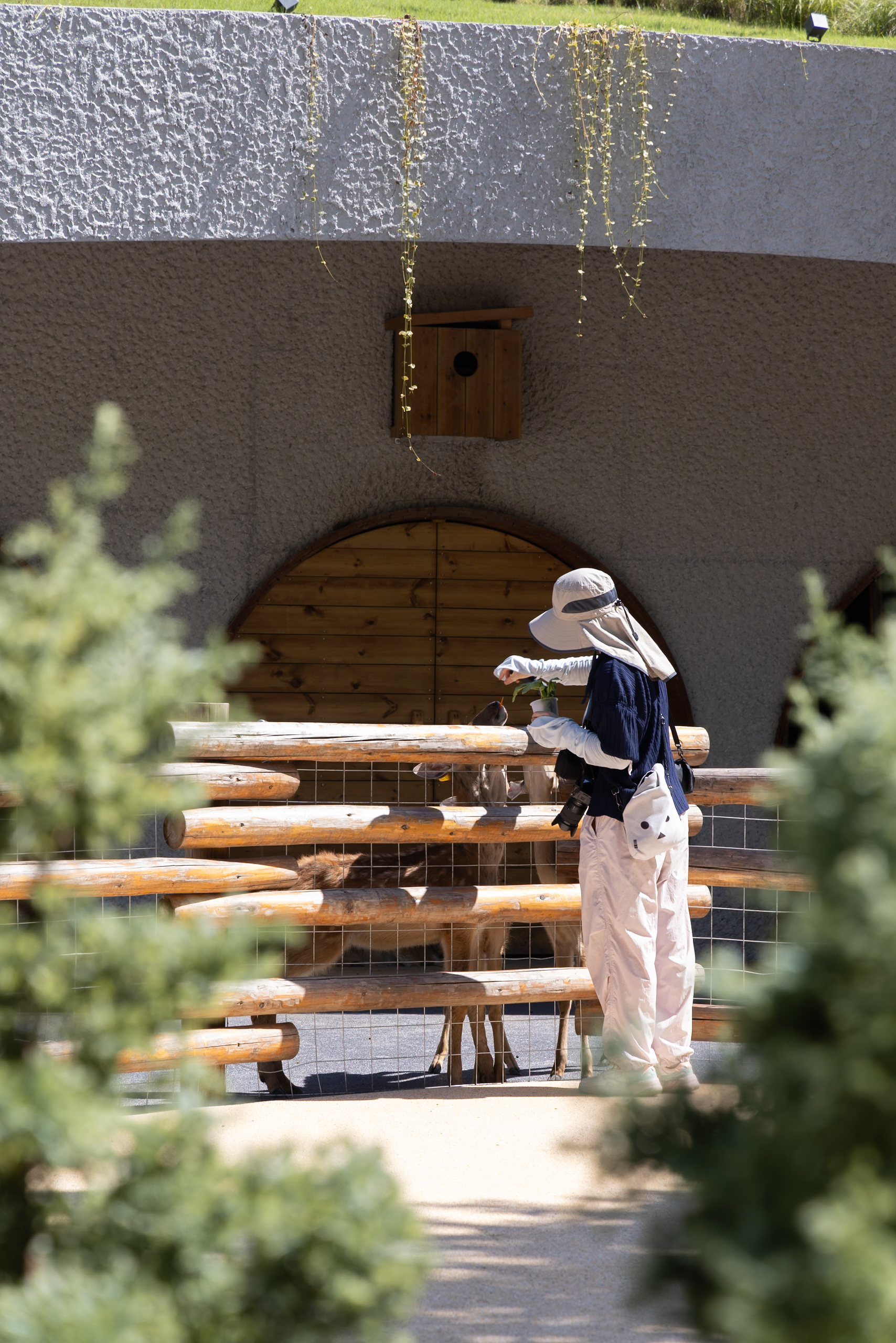武汉麓客岛景观规划丨中国武汉丨WTD纬图设计-70