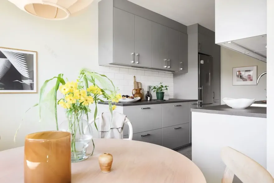 瑞典 63m2 一室公寓的极简之美-5