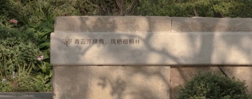 笛东臻品|抱朴山林无界剧场-西安招商·梧桐书院-157