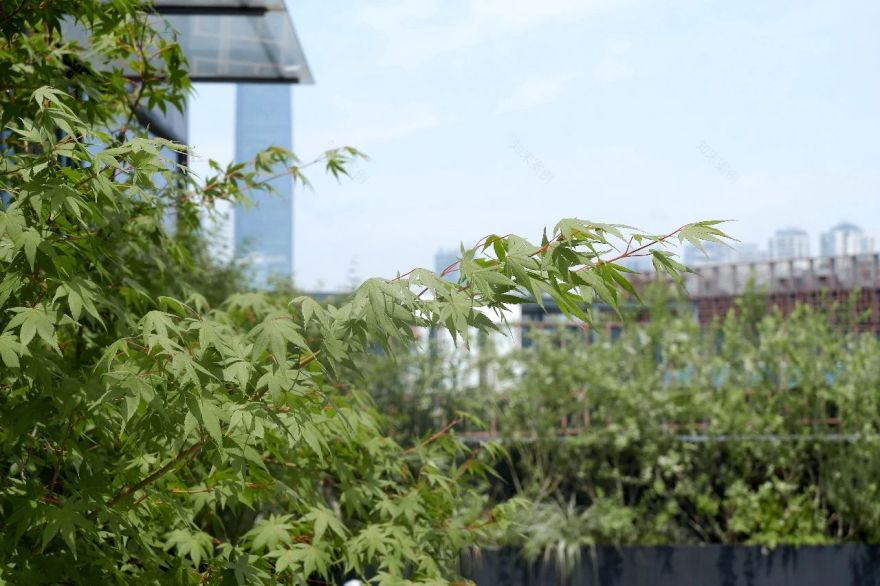 BALANCE BETWEEN LIFE AND NATURE|抽象北欧森林中的厨电展厅-82