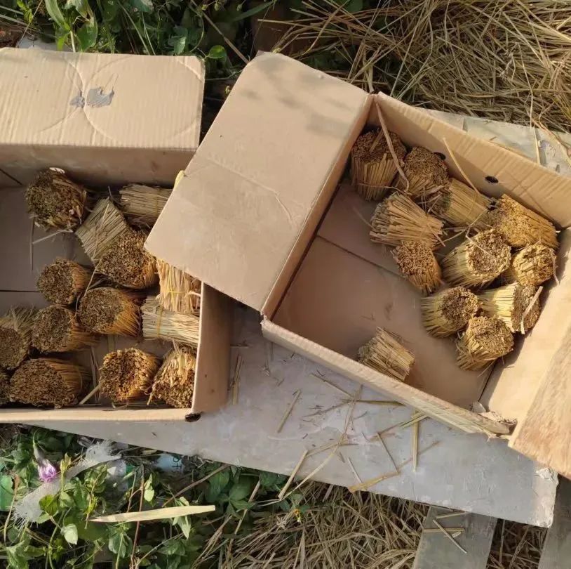 COLINMINT 简悦厨丨中国广州丨广州永创设计有限公司-76