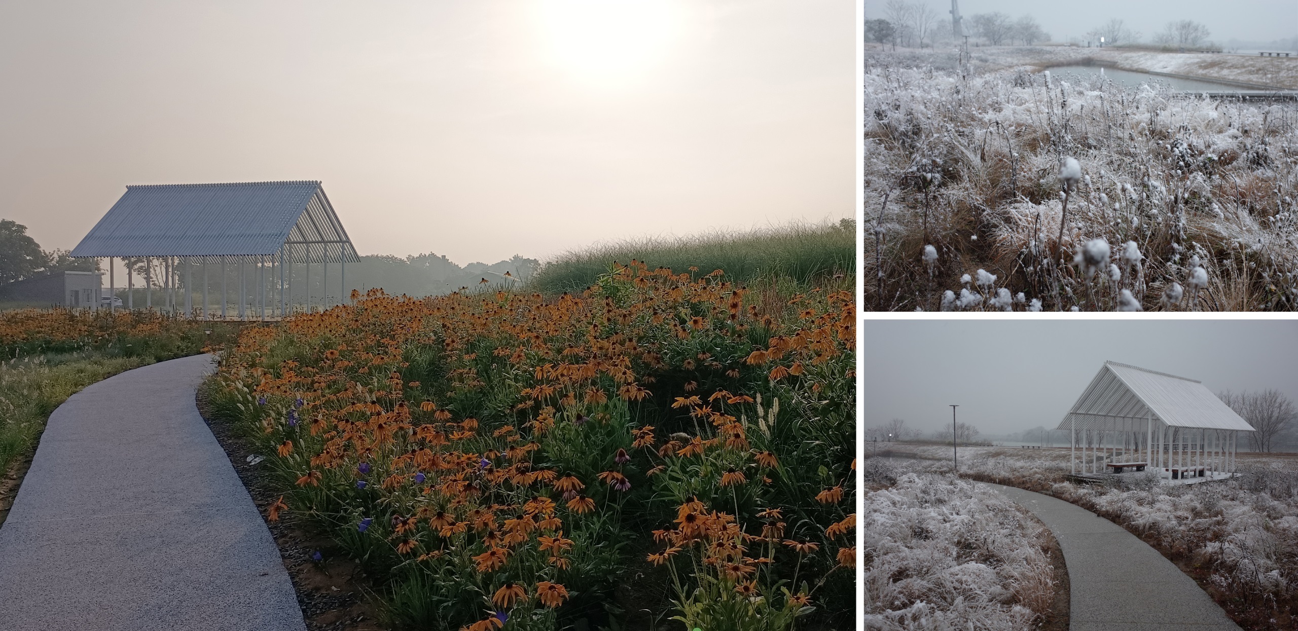 凤翔洲水文化公园丨中国衢州丨张唐景观-56