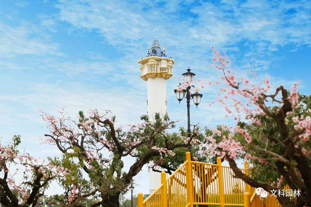春城文旅新地标 | 文科园林昆明恒大文化旅游城项目-36